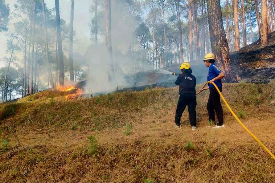 Forest fire in Almora