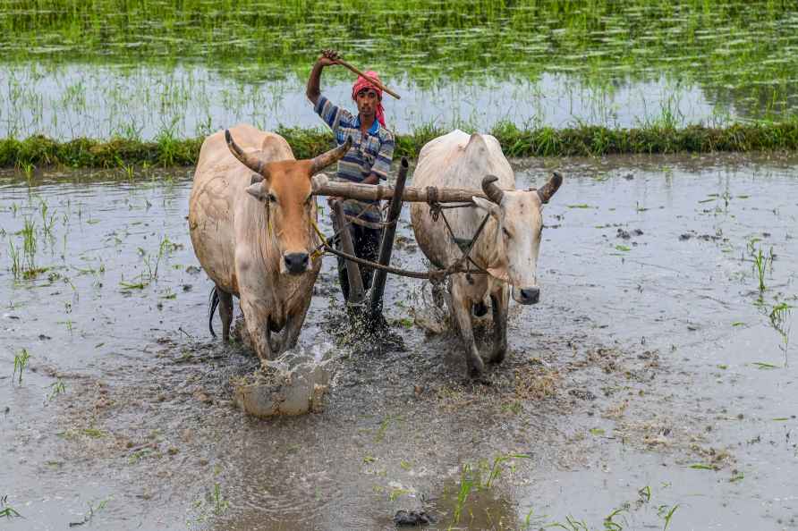 Agriculture: Farmer prepares field for cultivation