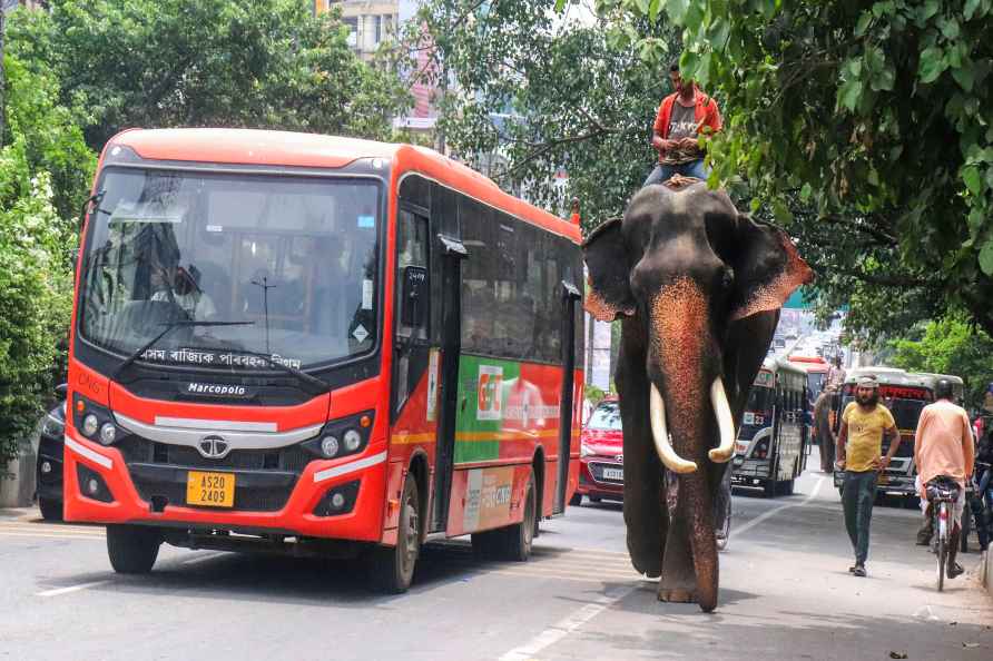 Mahout rides an elephant in Assam