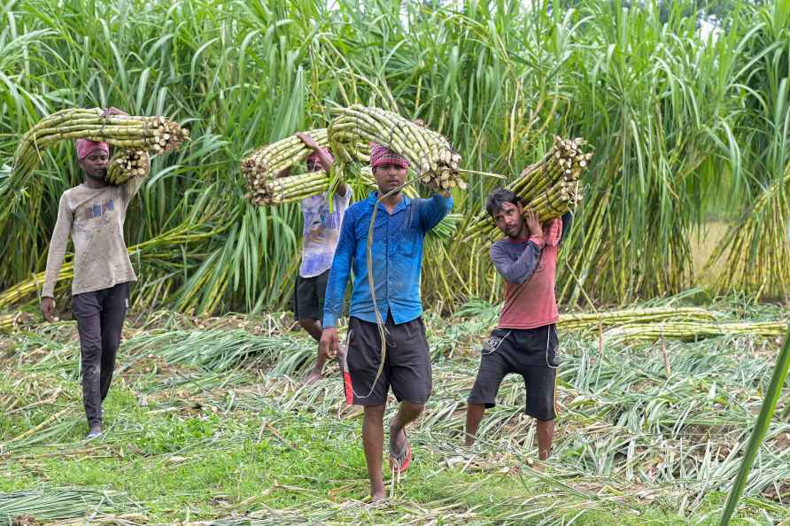 Farmers in West Bengal's Nadia