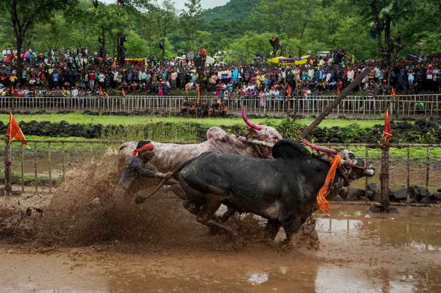 Nangrani festival in Ratnagiri