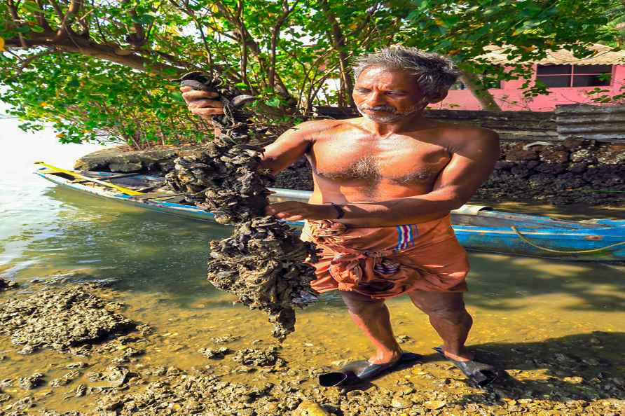 Invasive mussel species wiping out native variant in Kerala