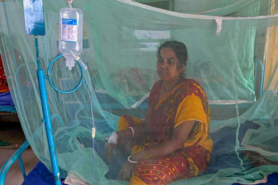 Dengue cases in Nadia