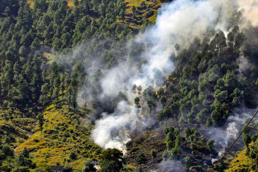 Fire in forest in Kullu