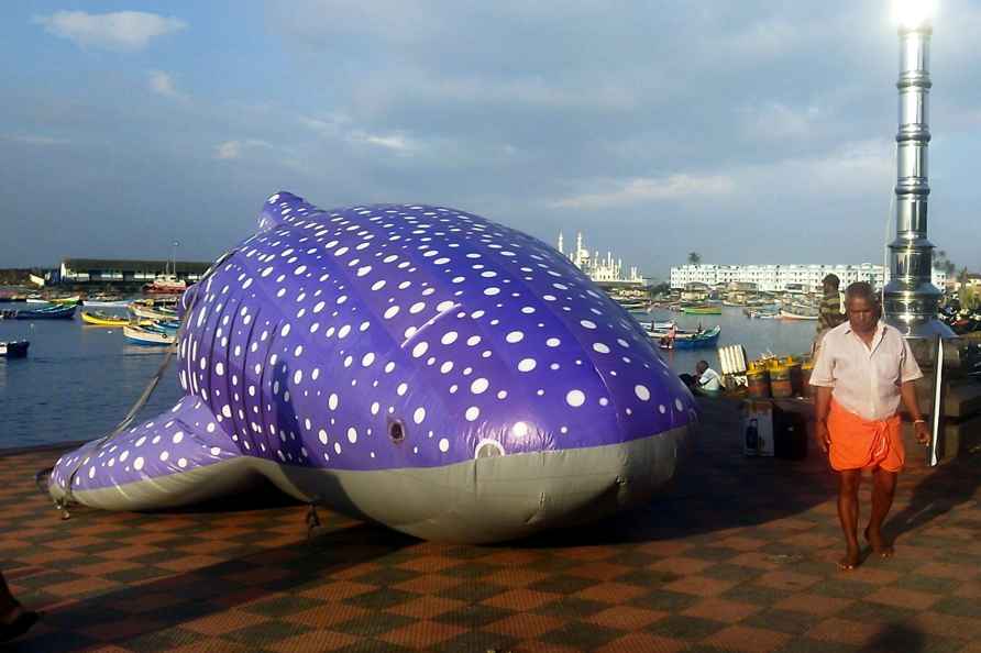 Awareness campaign to save whale sharks