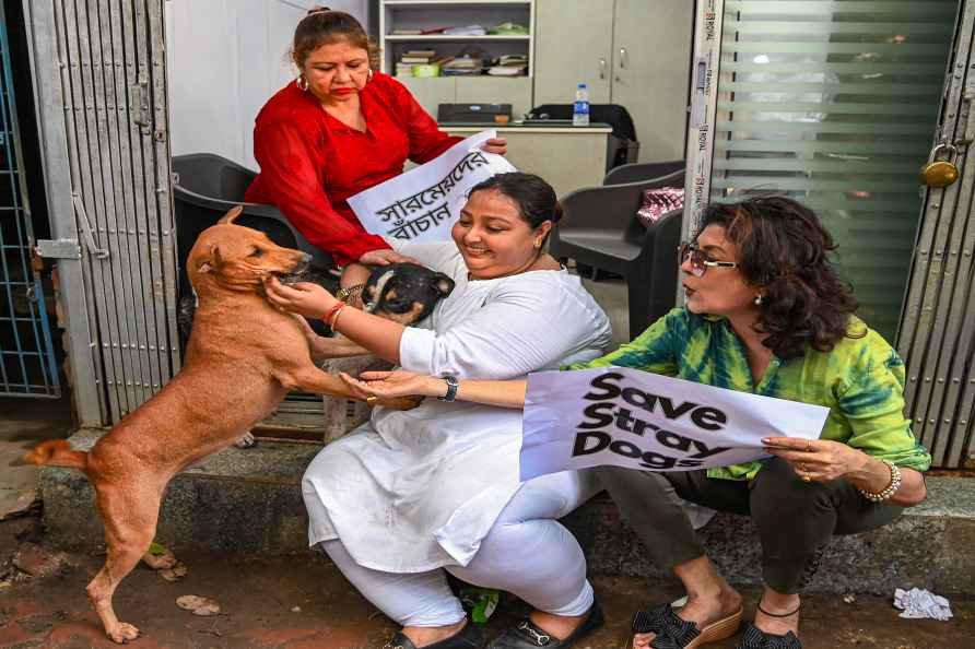 Animal rights activists protest in Kolkata