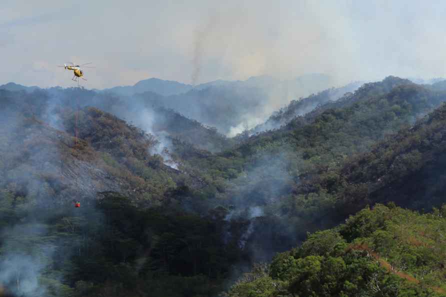 This photo provided by the Hawaii Department of Land and Natural...