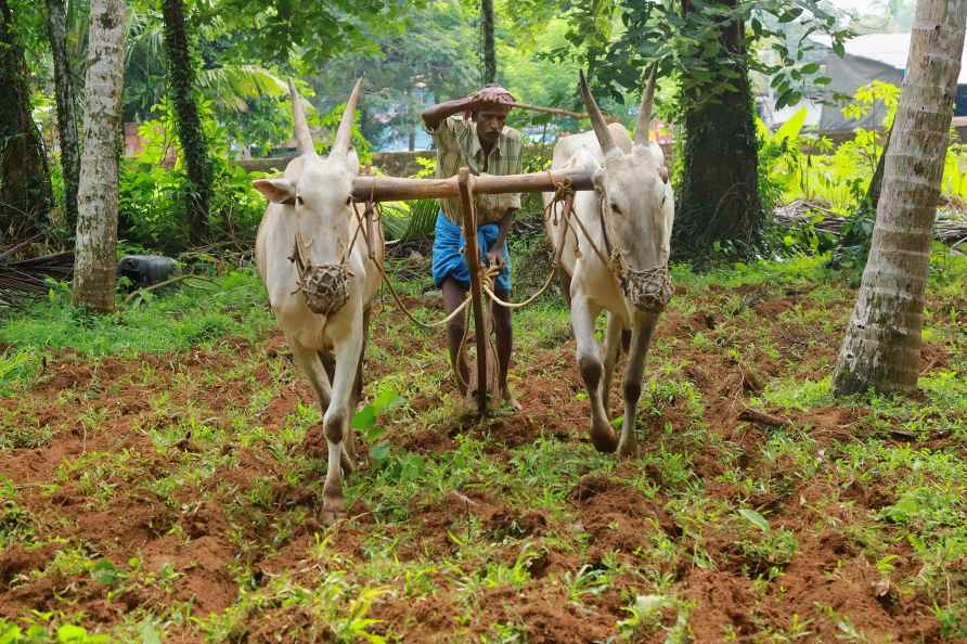 Farming in Kozhikode