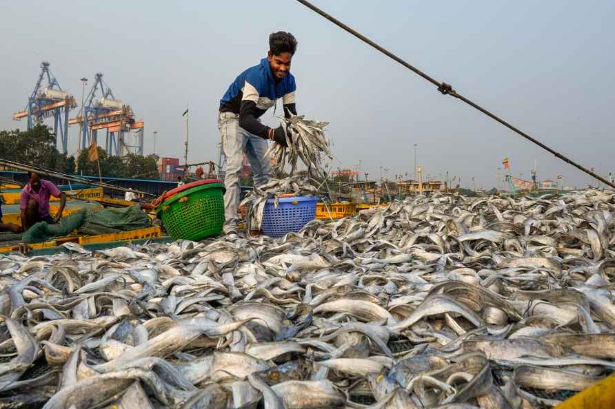 Standalone Feature: Fishing Harbour in Visakhapatnam