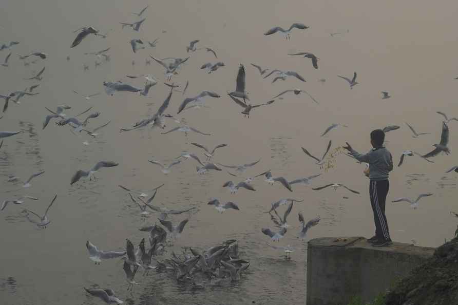 Standalone: Migratory birds fly over Yamuna Ghat