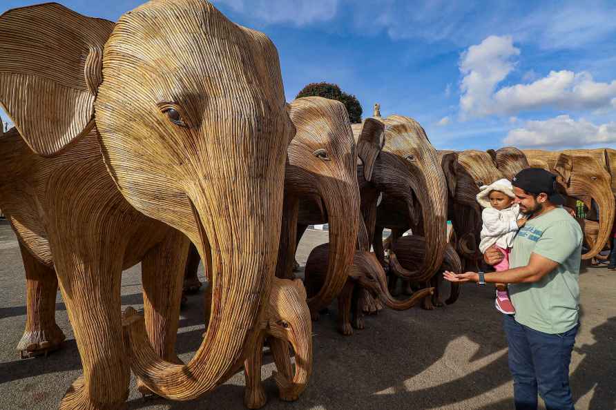 Lantana Elephants Exhibition preps