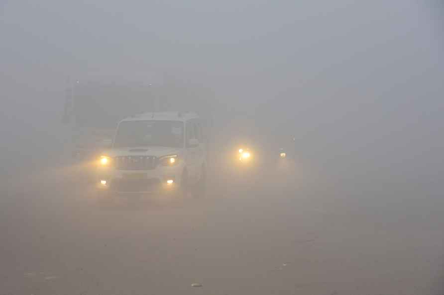 Weather: Winter fog in Rajasthan