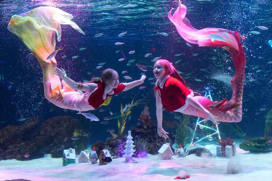 Divers perform celebrate the upcoming Christmas at the aquarium