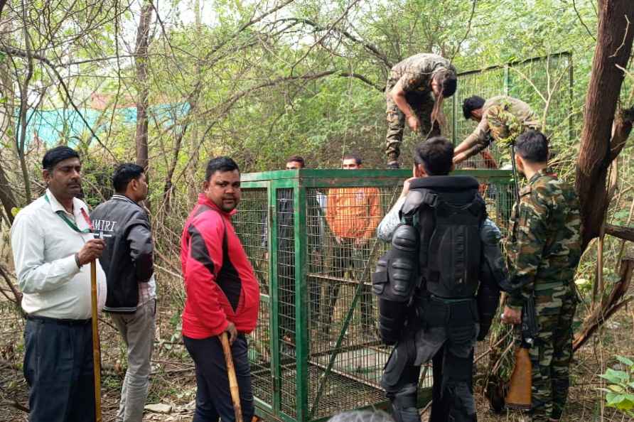 Leopard spotted in Delhi's Sainik Farm