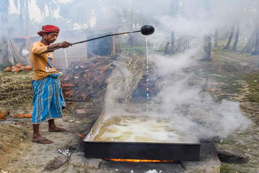 Molasses prepared in Nadia