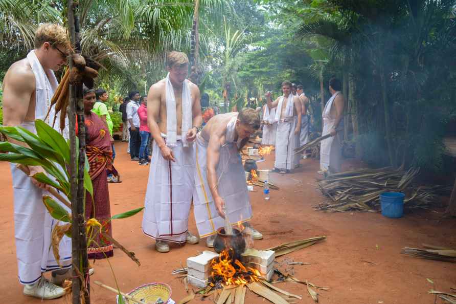 Pongal festivities in Tamil Nadu