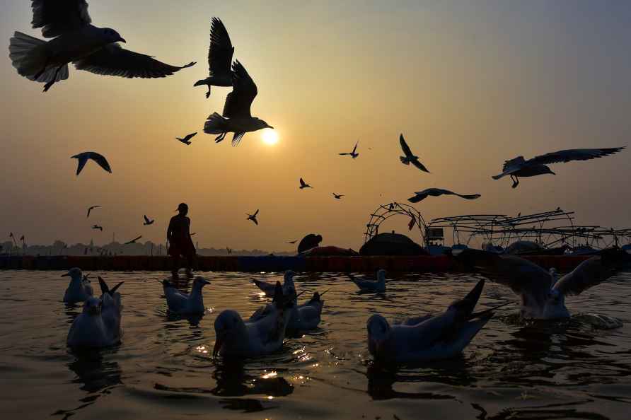 Magh Mela preperation in Prayagraj