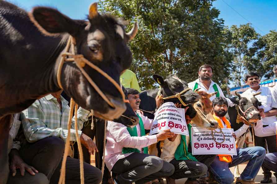 BJP Protest agaisnt Congress govt