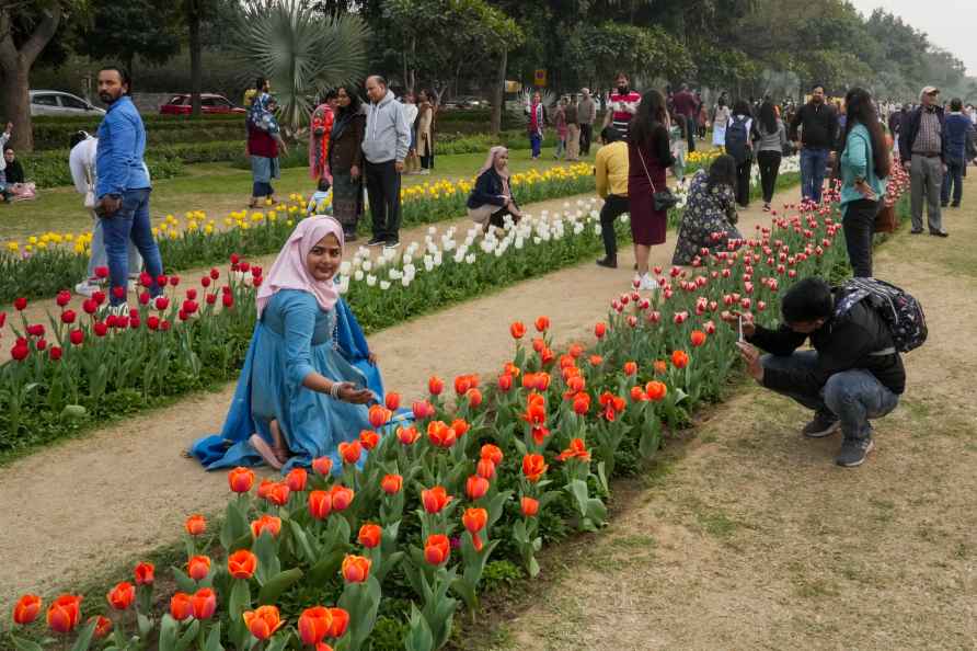 Delhi Tulip Festival 2024