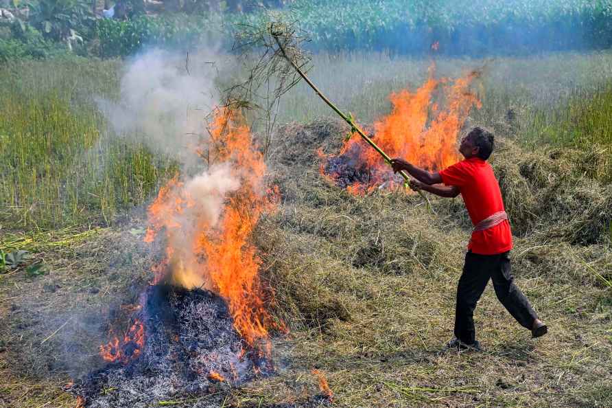 Crop stubble burning in WB