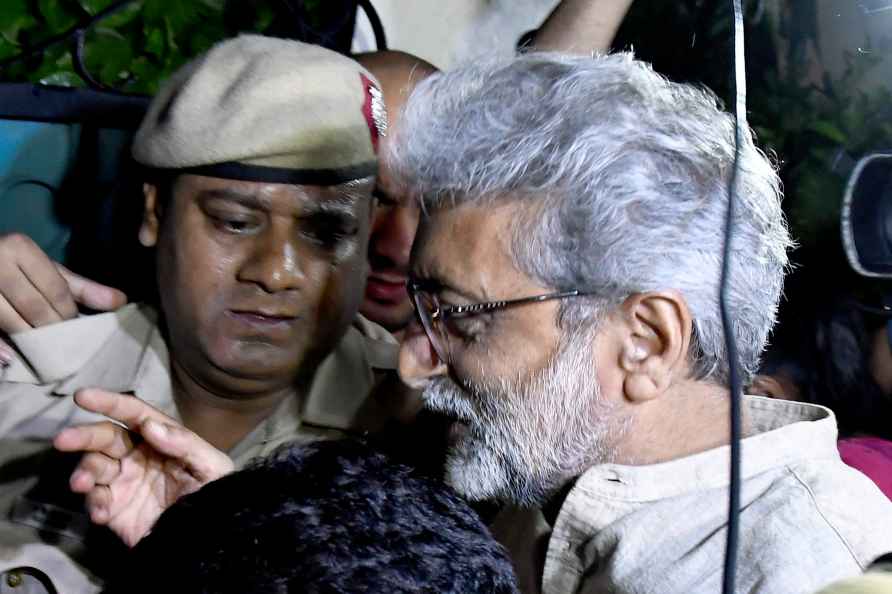 Activist Gautam Navlakha gets bail