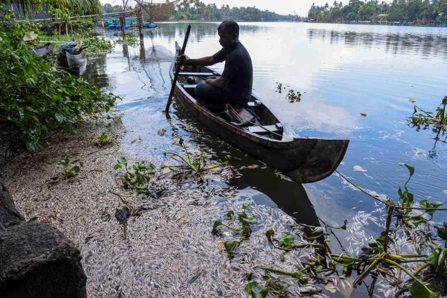 Dead fish in Periyar river after industrial effluents released