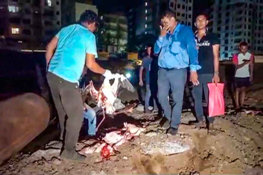 Landing aircraft hits flock of flamingos in Mumbai