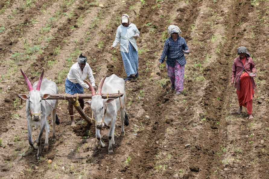 Farmers plough field in Karnataka