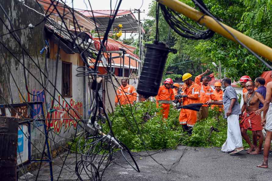 Weather: Trees uprooted after rain in Kerala