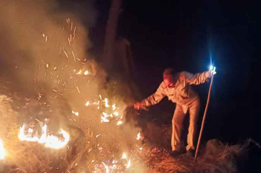 Rajouri: A Jammu and Kashmir Forest Protection Force personnel tries...