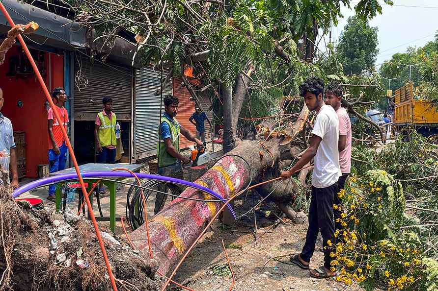 Aftermath of storm in Siliguri