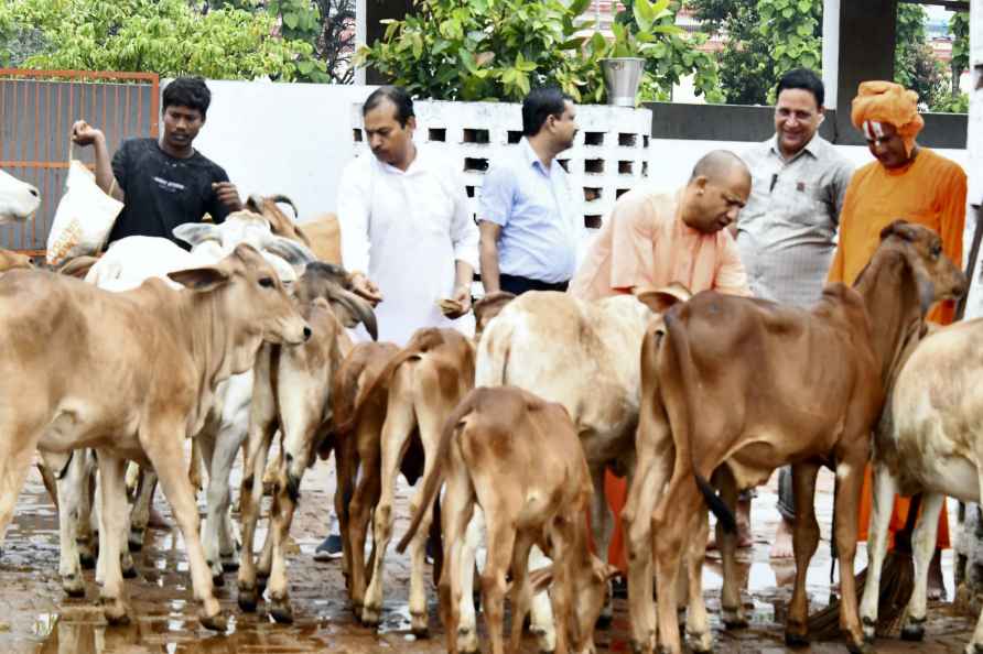 Yogi at Gorakhnath Temple