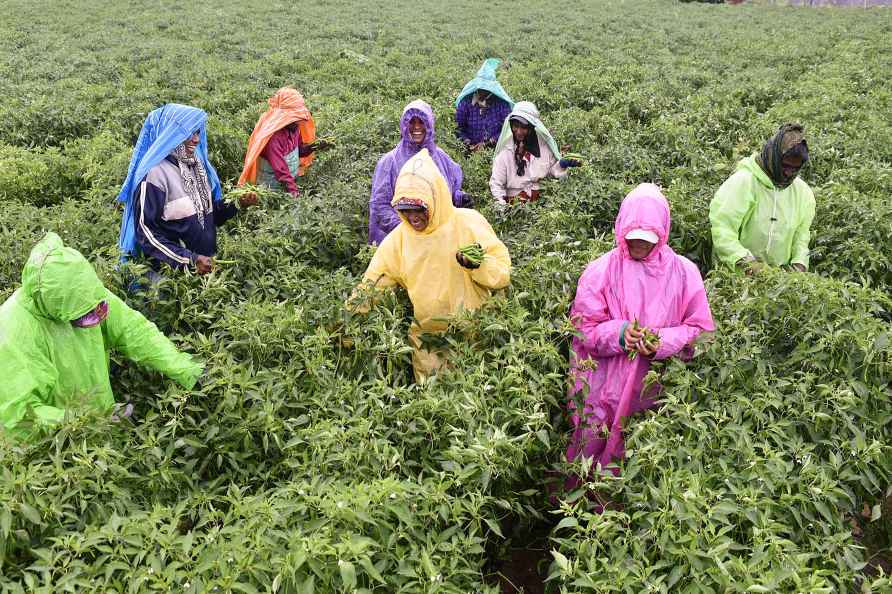 Weather: Rains in Chikmagalur