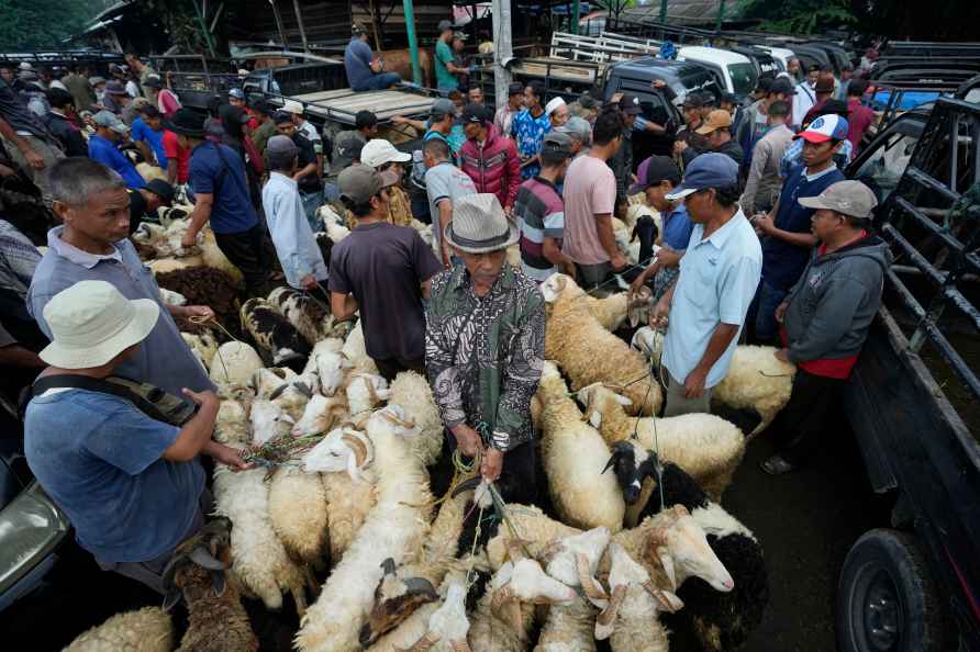 People sell sheep and goats ahead of Eid al-Adha