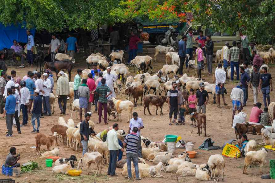 Preparations for Eid al-Adha (Bakra Eid)