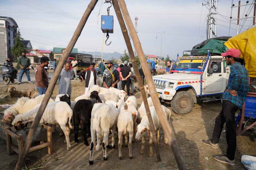 Preprations for Eid al-Adha festival