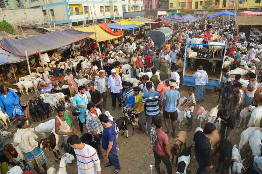 Eid-al-Adha: People buy goats