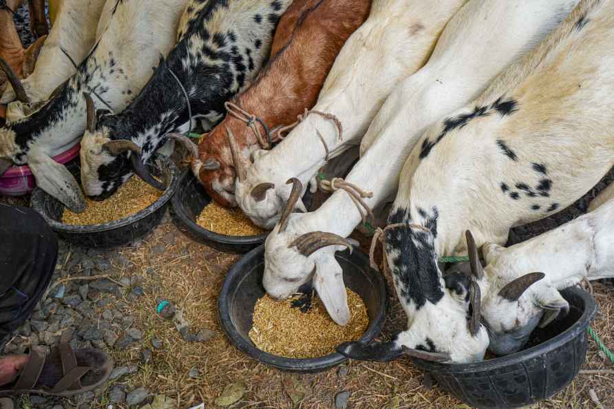 Eid-Al-Adha: Goat market in Kolkata