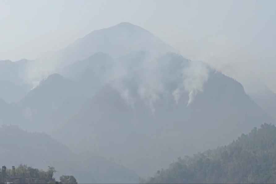 Fire in forest area of Solan