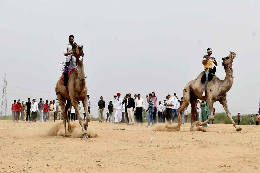 World Camel Day in Rajasthan