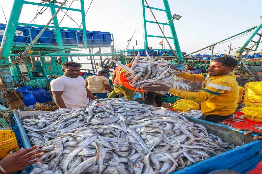 Fishermen at Kasimedu fishing harbour