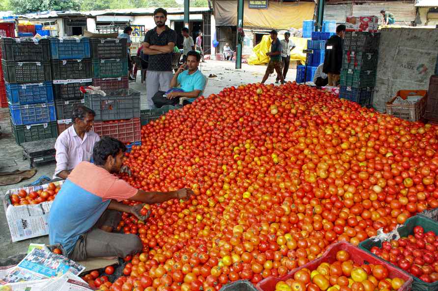 Tomatoes at vegetable market in Kullu