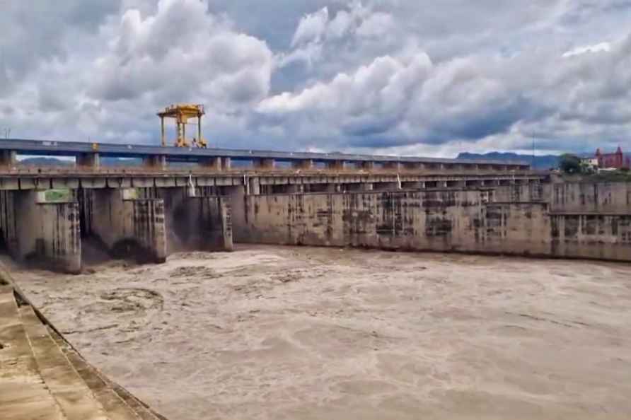 Water diverted from Hathnikund barrage