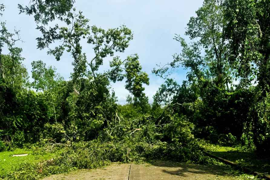 Hurricane Beryl hits Texas