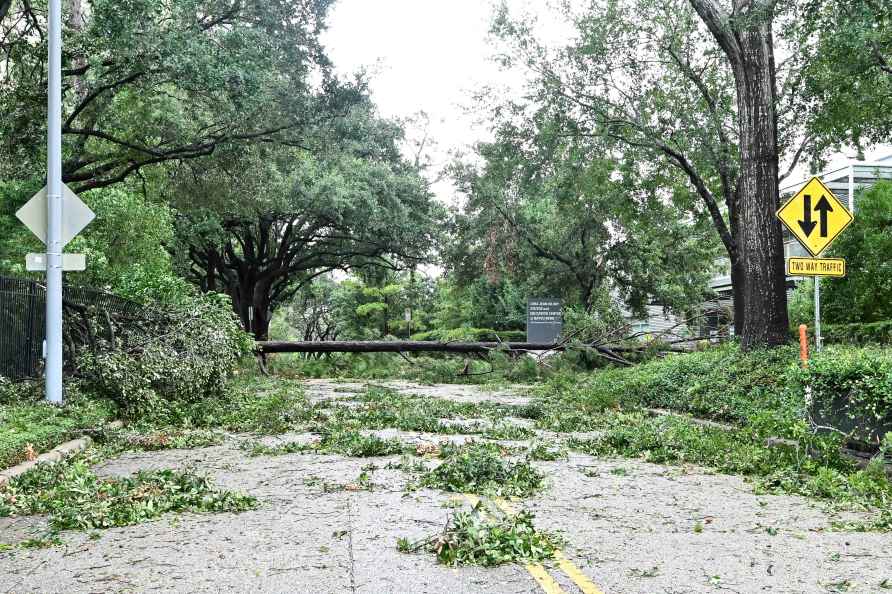 A detail of down trees on Memorial drive and Wescot street in Houston...