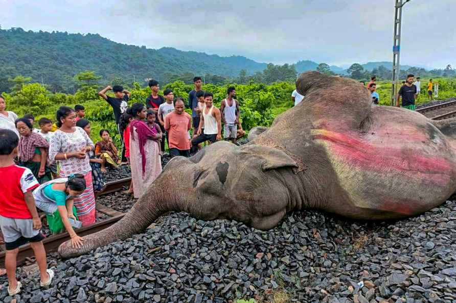 Elephant dies after being hit by train in Assam