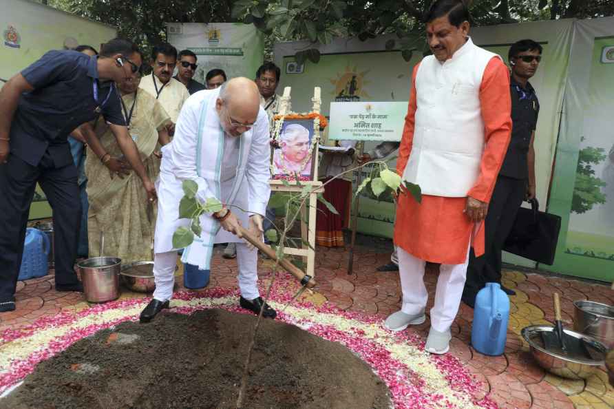 Amit Shah plants a sapling