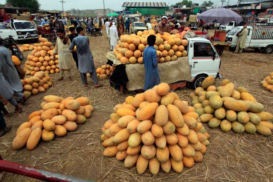 Wholesale fruit market in Peshawar