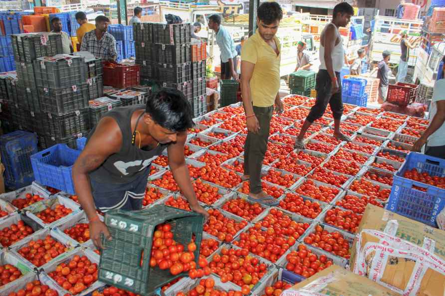 Tomatoes being packed in Kullu