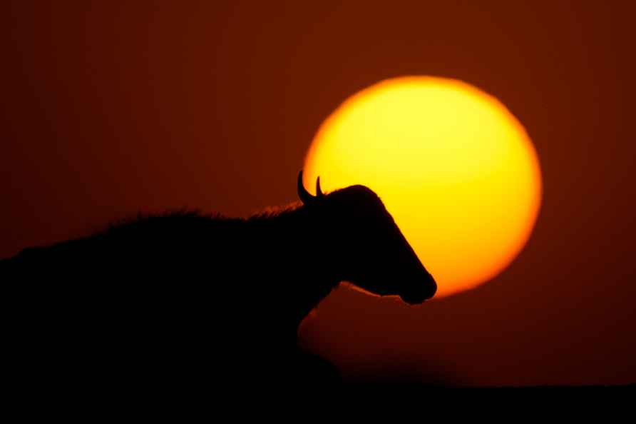 Drought in Nasiriyah